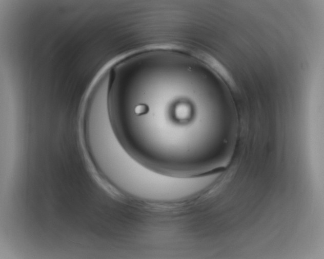 X0000113641132200909251235