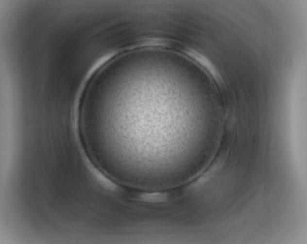 X0000113641135200909251235