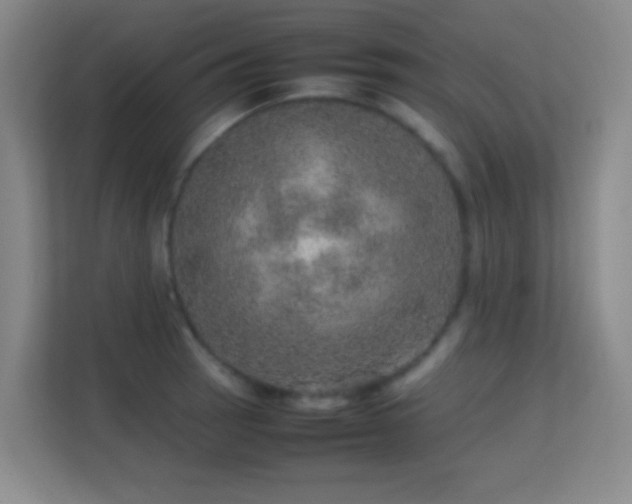 X0000113641137200909251235