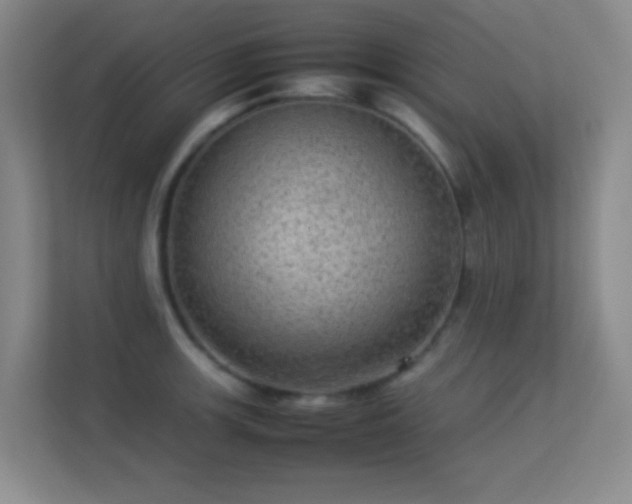 X0000113641139200909251235