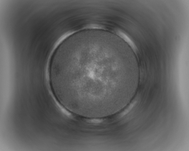 X0000113641141200909251235