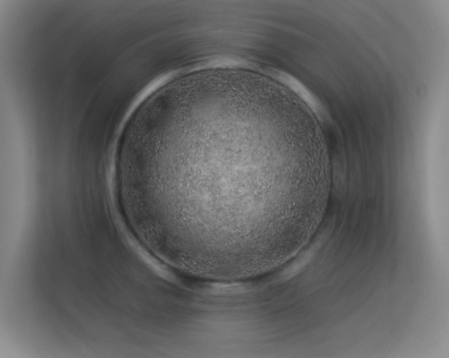 X0000113641142200909251235