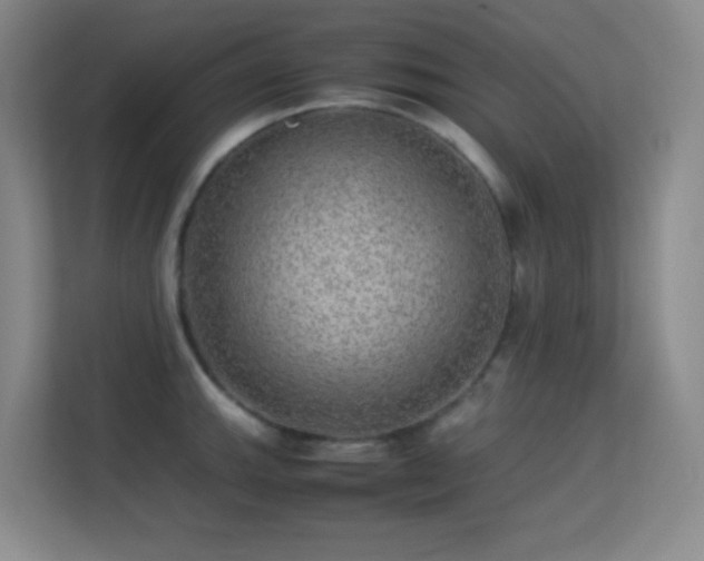 X0000113641143200909251235