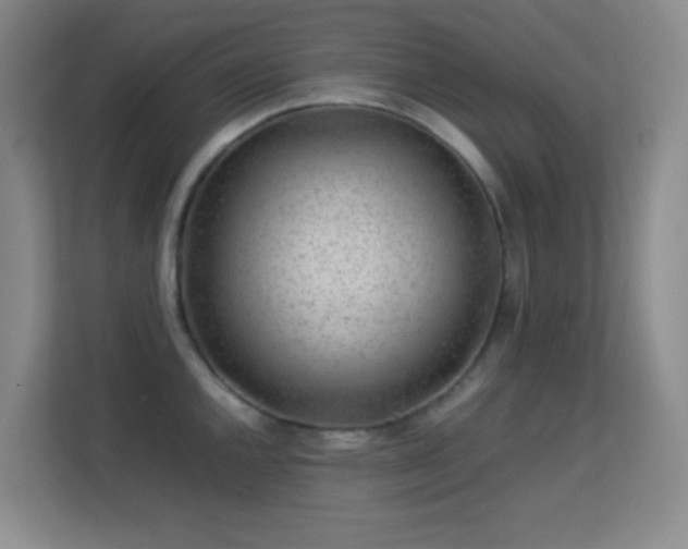 X0000113641144200909251235