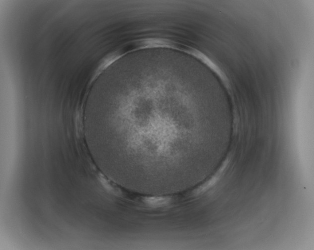 X0000113641145200909251235