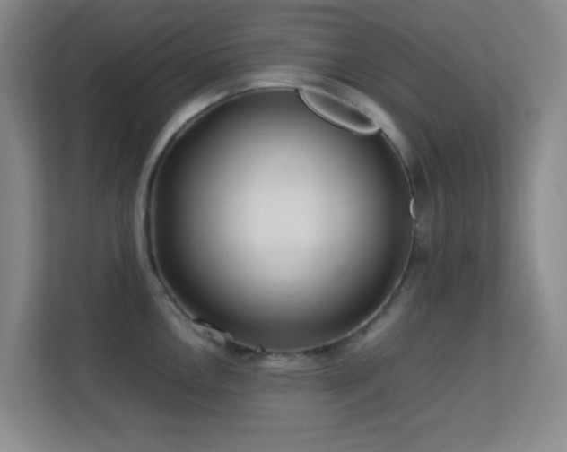 X0000113641146200909251236