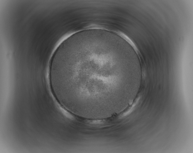 X0000113641149200909251236