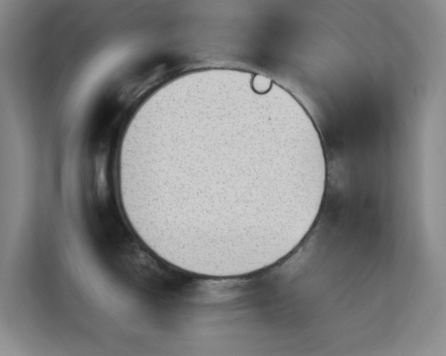 X0000113641150200909251236