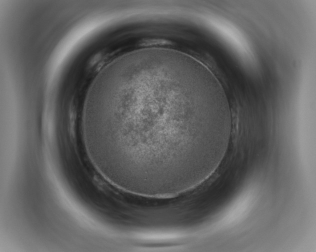 X0000113641151200909251236