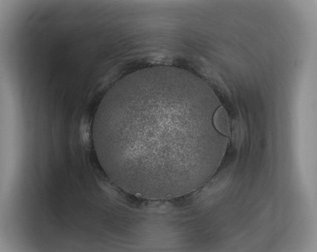 X0000113641154200909251235