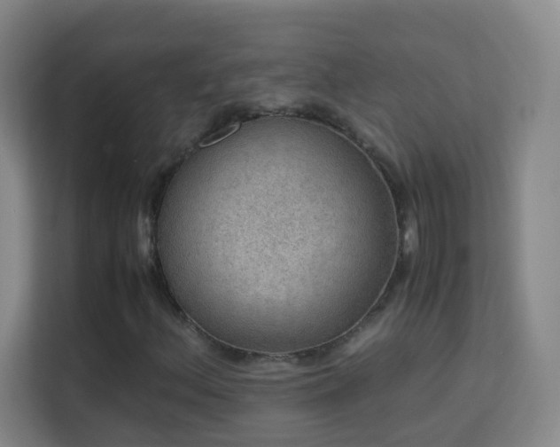 X0000113641156200909251235