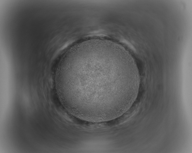 X0000113641159200909251235