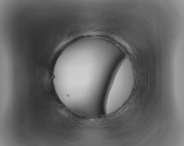 X0000113641160200909251235