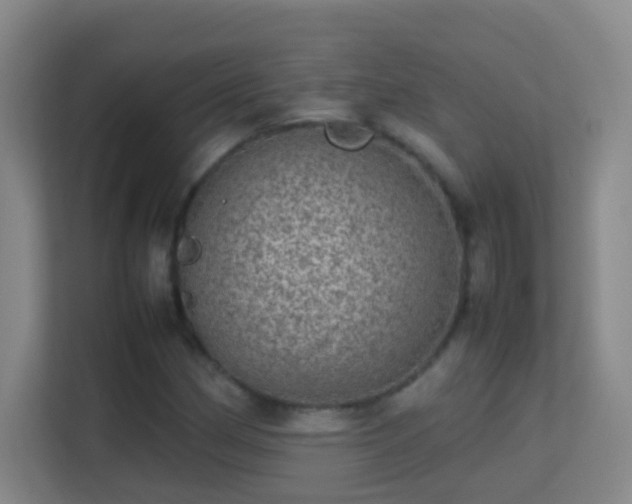 X0000113641162200909251235