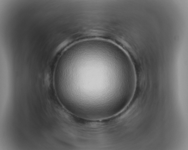 X0000113641163200909251235