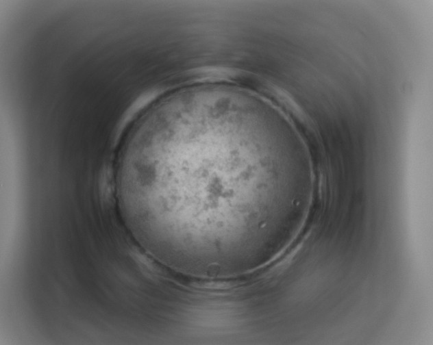 X0000113641164200909251235