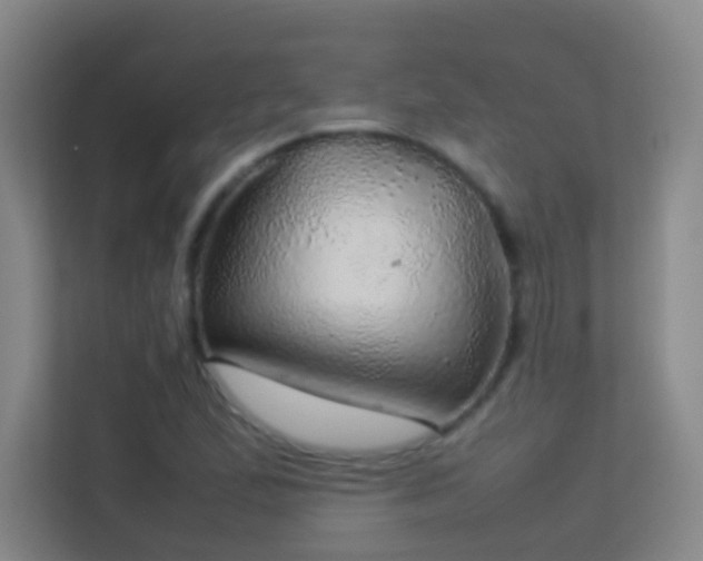 X0000113641167200909251235