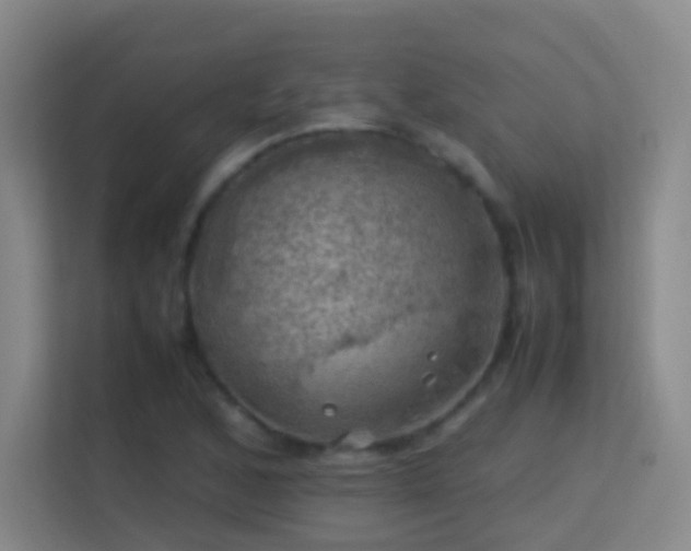 X0000113641168200909251235