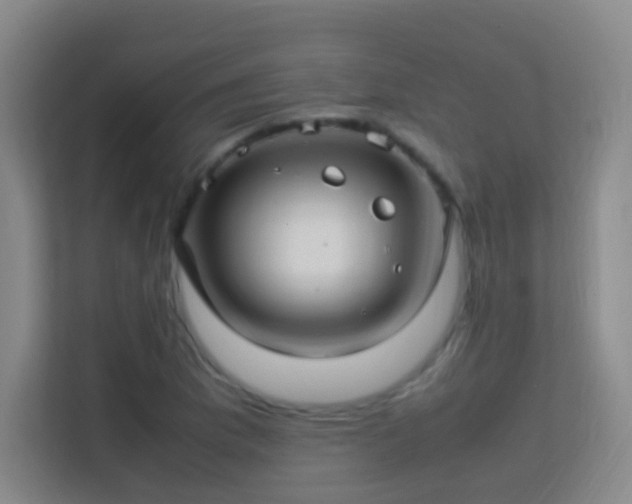 X0000113641169200909251235