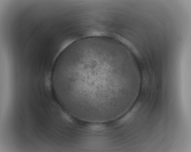 X0000113641170200909251235