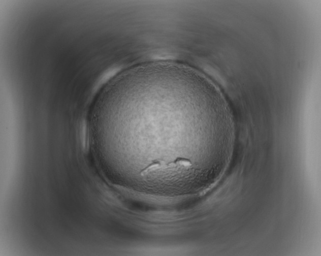 X0000113641171200909251235