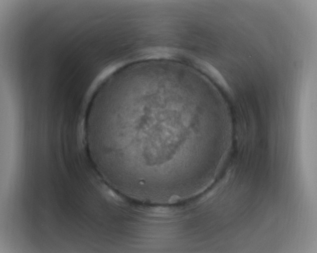 X0000113641172200909251235