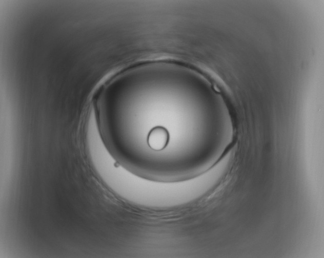 X0000113641173200909251235