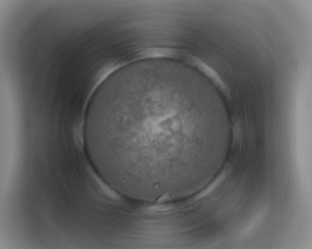 X0000113641178200909251235