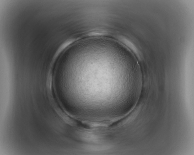 X0000113641179200909251235