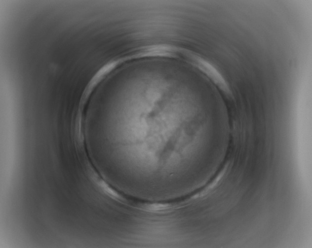 X0000113641180200909251235