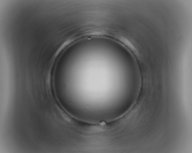 X0000113641181200909251235