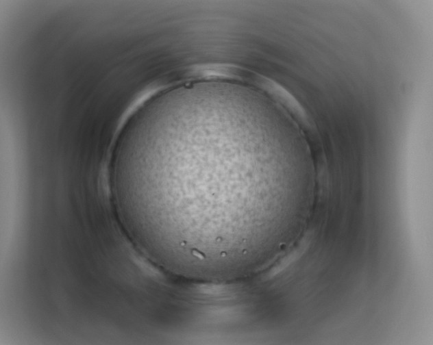 X0000113641182200909251235