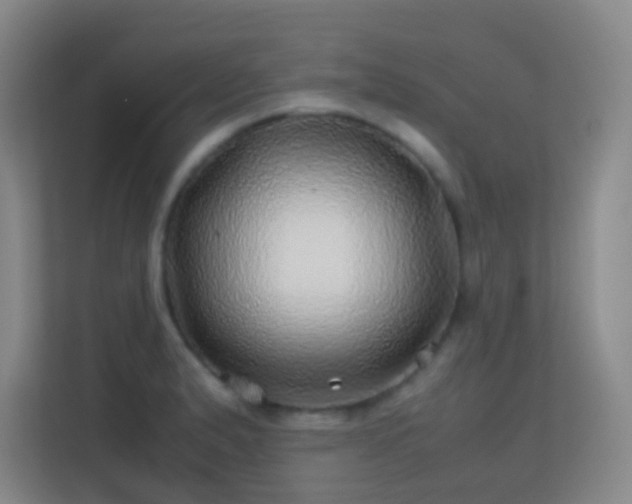 X0000113641183200909251235