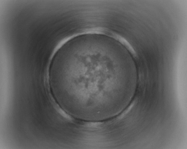 X0000113641184200909251235