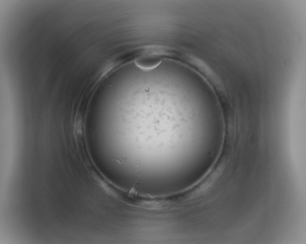 X0000113641185200909251235