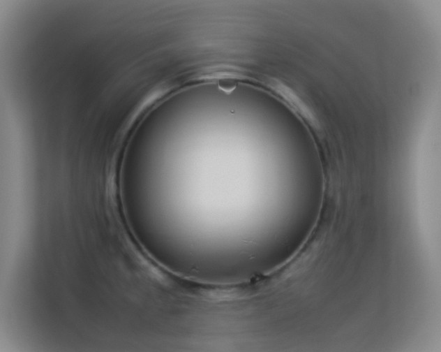 X0000113641189200909251234