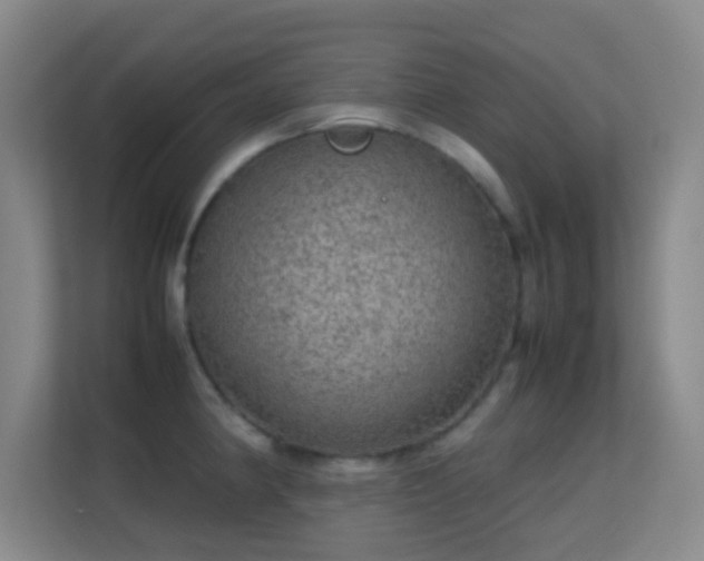 X0000113641190200909251234