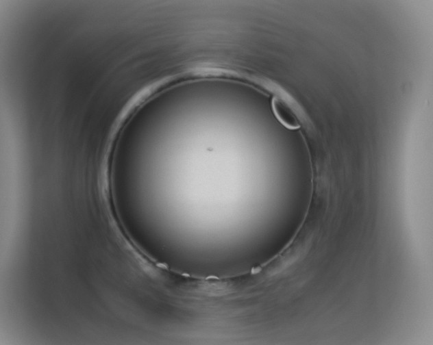 X0000113641191200909251234