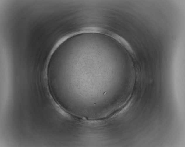 X0000113641192200909251234