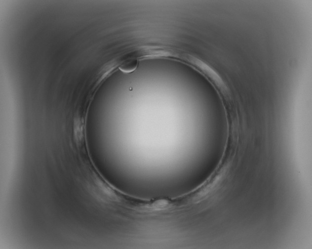 X0000113641193200909251234