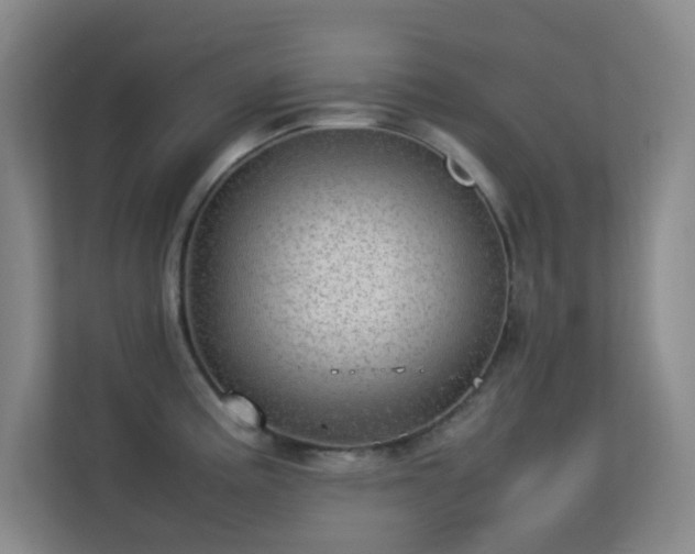 X0000113641195200909251234