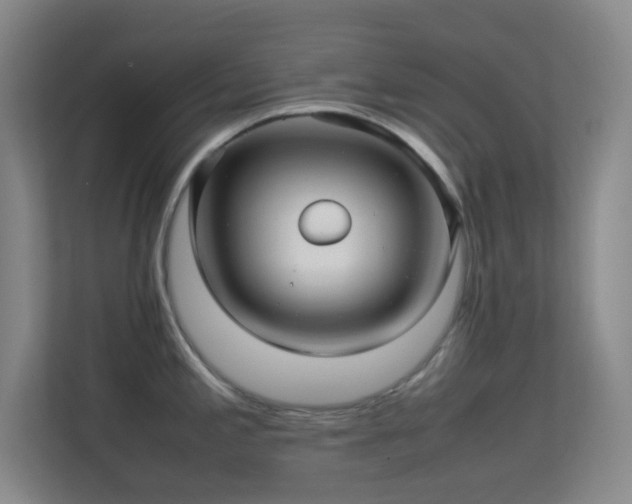 X0000113641197200909251234