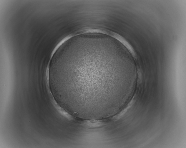 X0000113641198200909251234