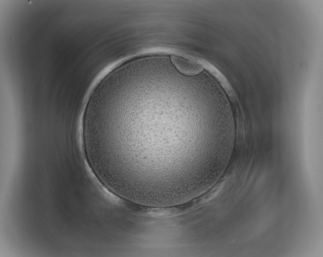 X0000113641199200909251234