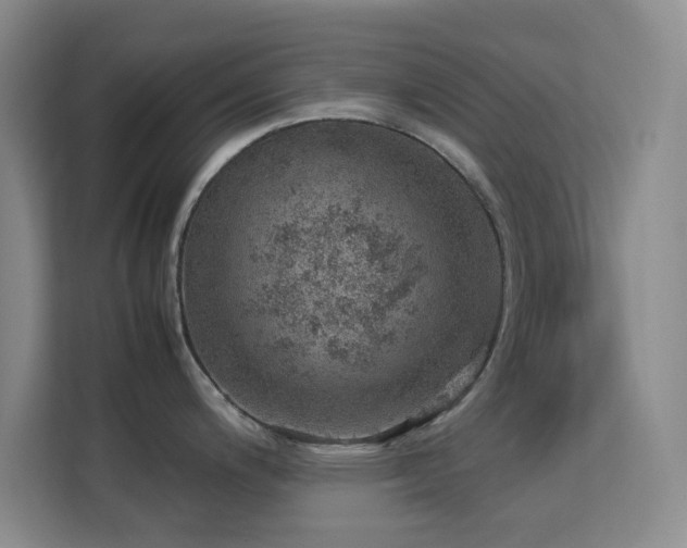 X0000113641200200909251234