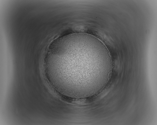 X0000113641201200909251234