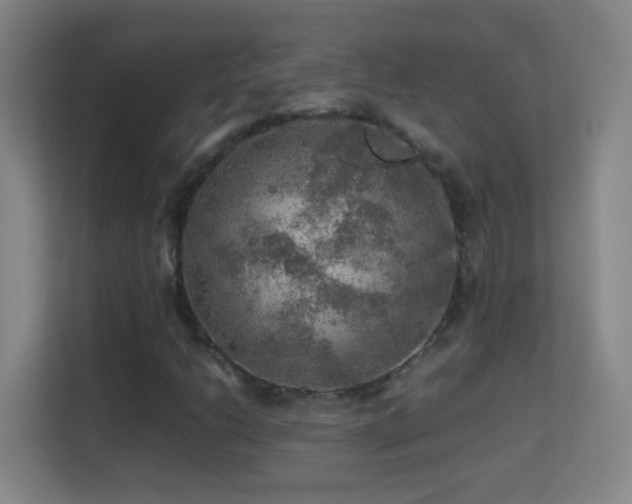 X0000113641206200909251234