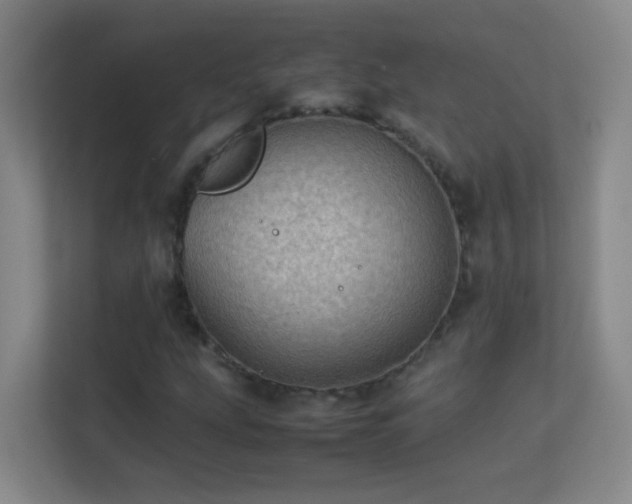 X0000113641207200909251234