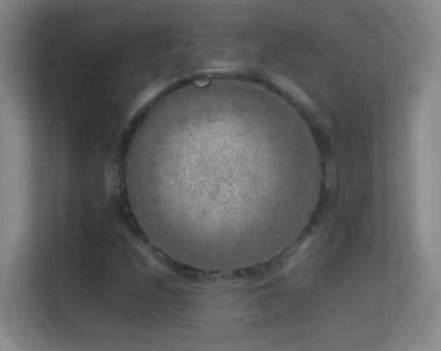 X0000113641208200909251234