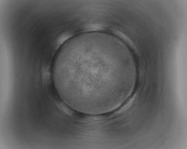 X0000113641210200909251234